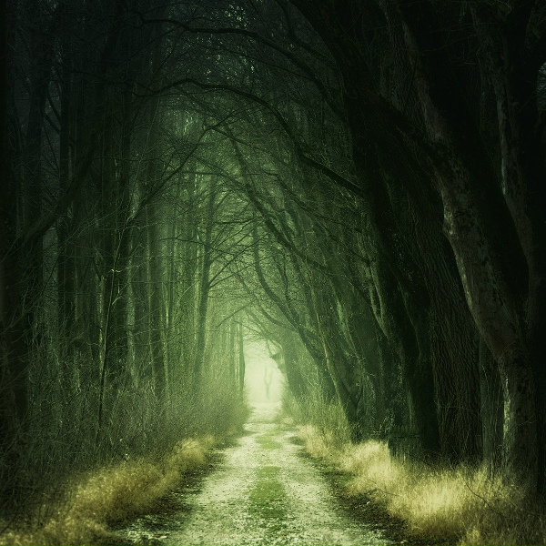 Classical Lullabies, The White Noise Zen & Meditation Sound Lab, Deep Sleep - Resting Gently