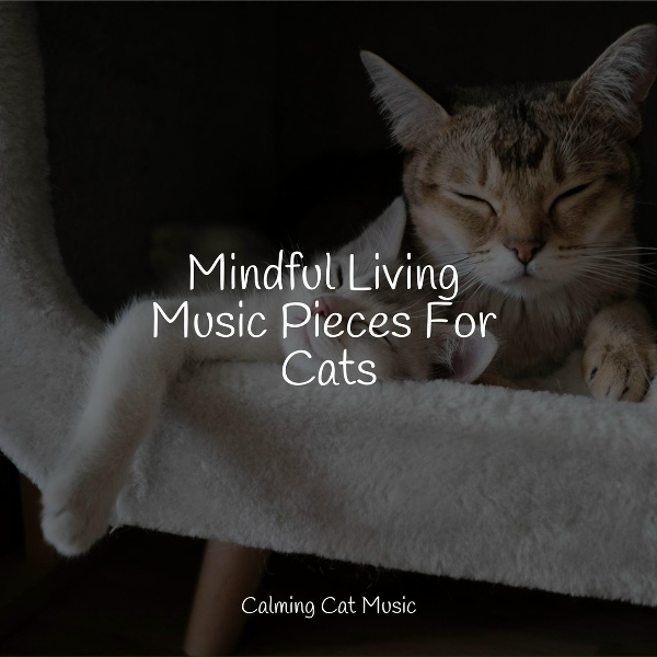 Music For Cats TA, Jazz Music for Cats, Cat Music Experience - Awakening