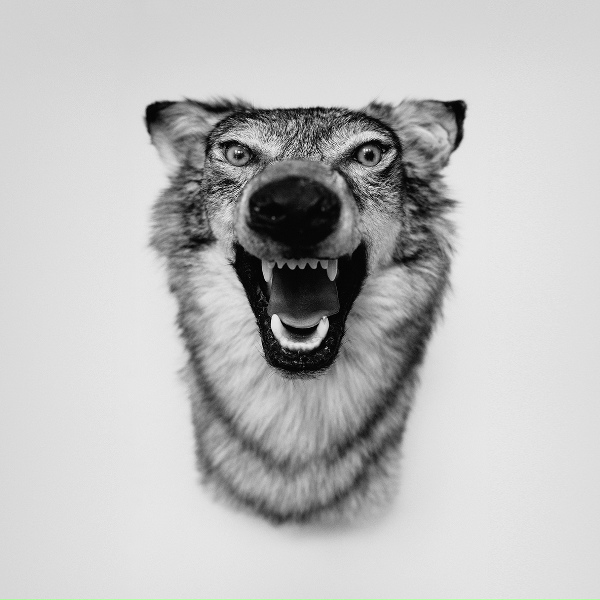 Yelawolf - Disappear