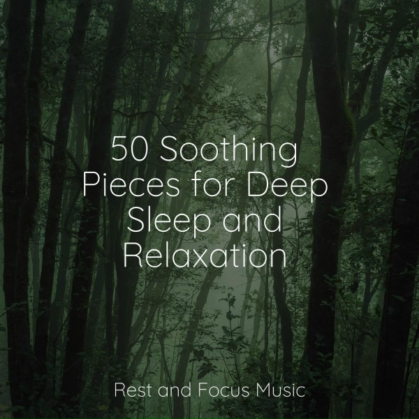 Zen, Alpha Waves, Hipnose Natureza Sons Cole&ccedil;&atilde;o - Quantum Solitude