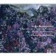 Ekaterina Mechetina - Six Songs, Op. 16: Cradle Song