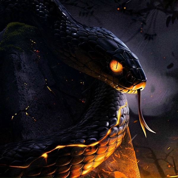 BABY KOALA - MYSTIC SNAKE