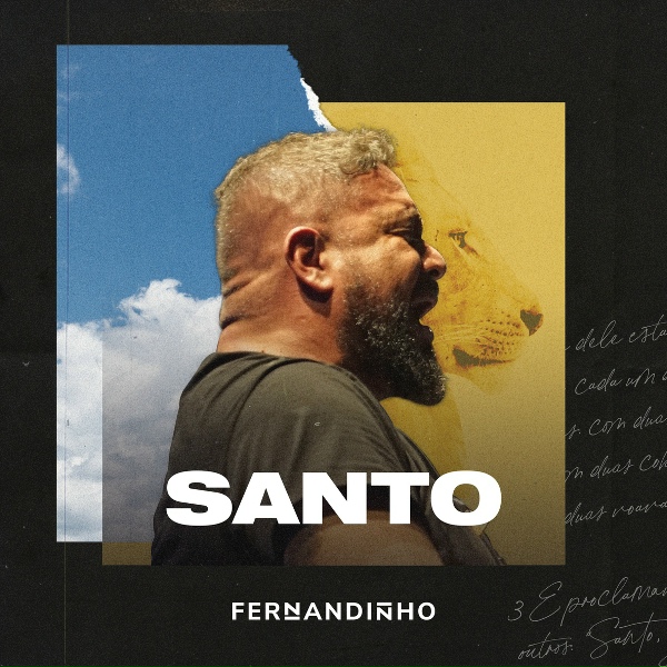Fernandinho - Santo