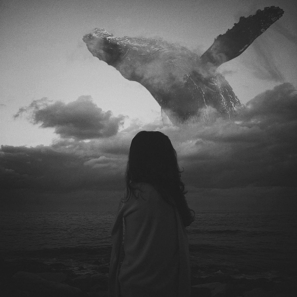SymphoCat - Long Whale Song (Short Version)