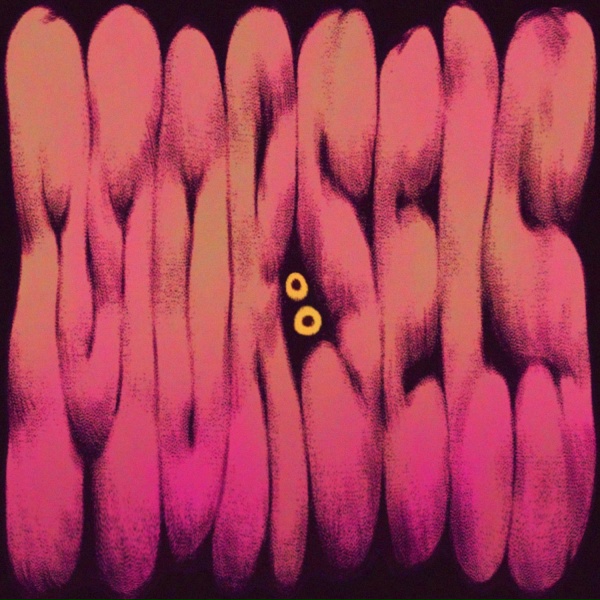 Sam Webster - Snooze Button