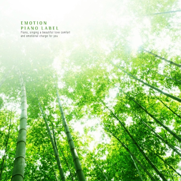Smile - The Fragrance Of The Green Forest