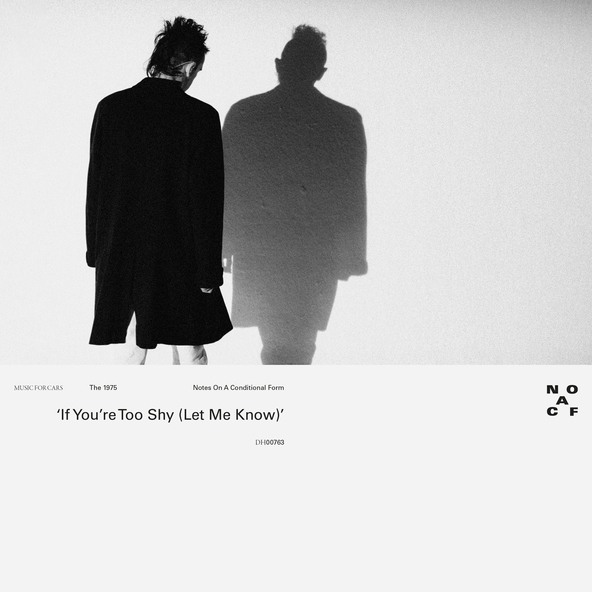 The 1975 - If You&rsquo;re Too Shy (Let Me Know)