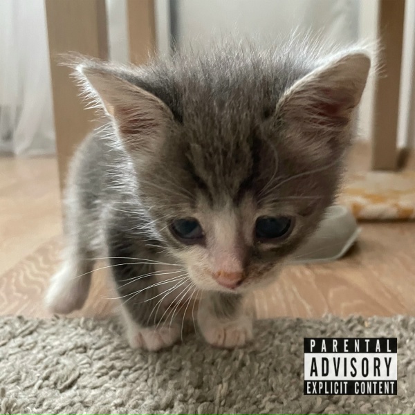 OttO, ШУММ, Эмелевская - кид кэт