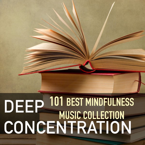 Meditation Guru - Vibrant Ambiance (Crystal Bowls)