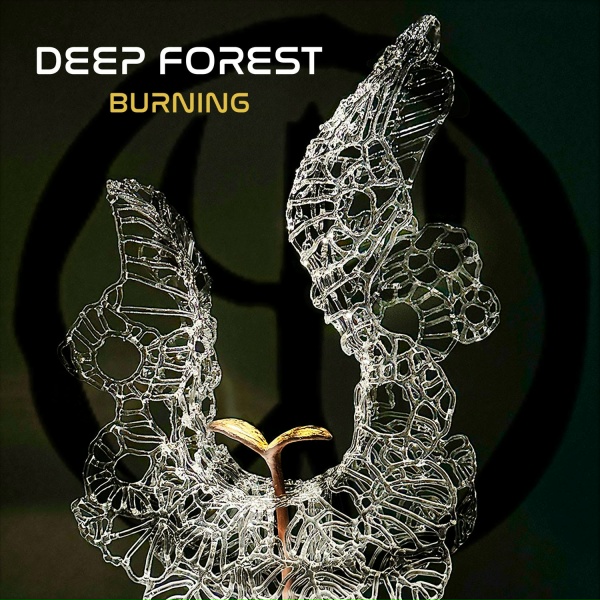 Deep Forest feat. Fakear - Hidden Worlds