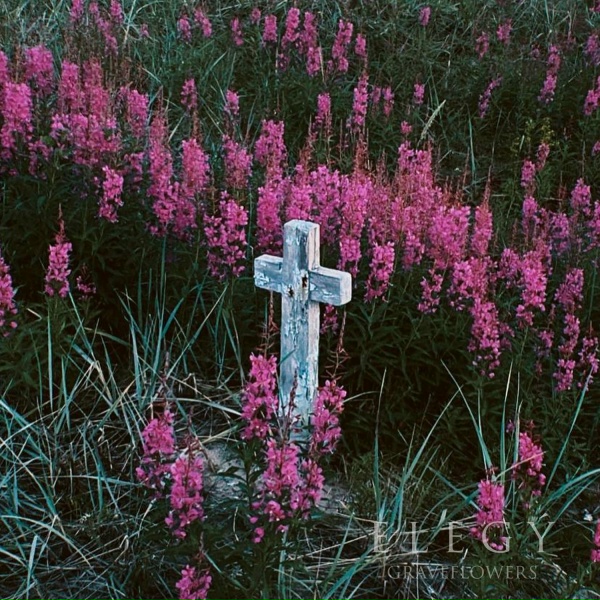 Eleg&yacute; - Eternal Night