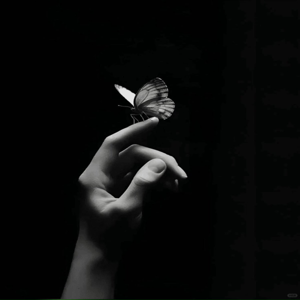 Dream Fruits Sounds - Crown of Silence