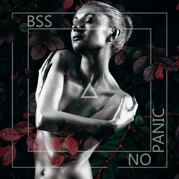 BSS - No Panic