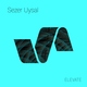[ sezer uysal - apastron (pig&dan remix) ]