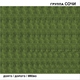 группа СОЧИ - Остановите меня