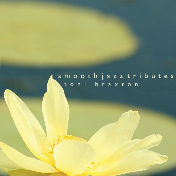 Toni Braxton Smooth Jazz Tribute - How Could An Angel Break My Heart
