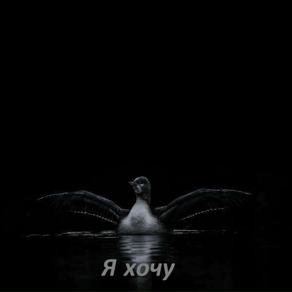 AiSeR - Я хочу