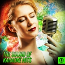 Vee Sing Zone - Fly (Clean) (Karaoke Version) (Karaoke Version)