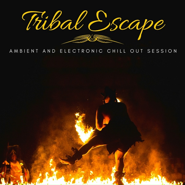 Pozzi & Bonalumi - Opinions