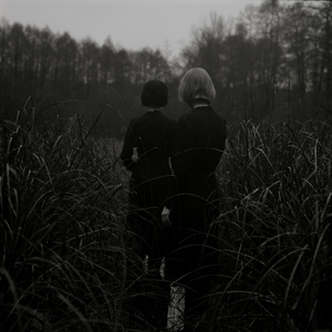 Goldmund - Signals No. 1