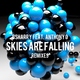 Bsharry - Skies Are Falling (Extended Mix) (Extended Mix)