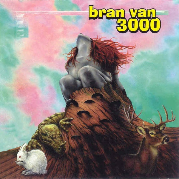 Bran Van 3000 - Problems