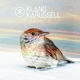Klangkarussell - Celebrate