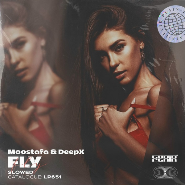 Moostafa, DeepX - Fly