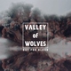 Valley of Wolves - Just Begun
