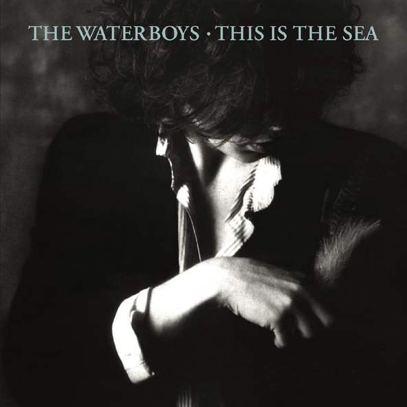The Waterboys - Don't Bang the Drum