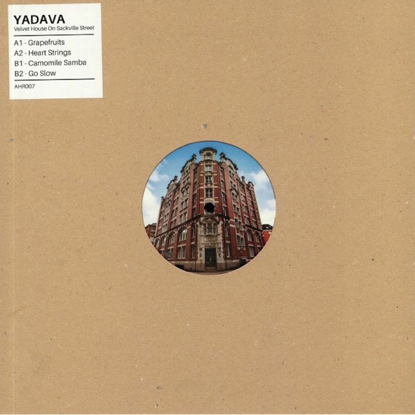 yadava - Camomile Samba