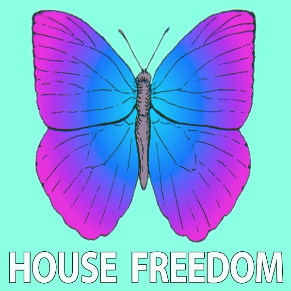 Bunny House - House Drive