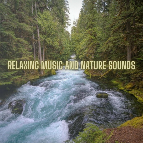symphony orchestra sound of nature - Promotes Inner Peace