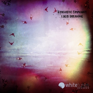 Synthetic Epiphany - The Skies Limits