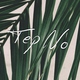 Tep No - Toluca Lake