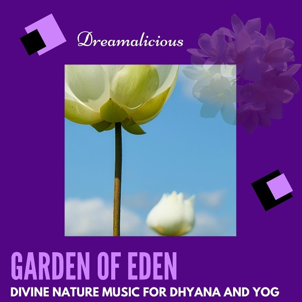 Zen Town - Efficient Healing Melodies