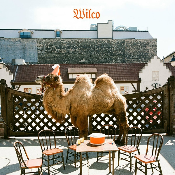 Wilco - Bull Black Nova