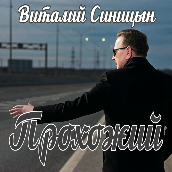 Виталий Синицын - Прохожий