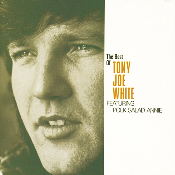 Tony Joe White - Rainy Night in Georgia