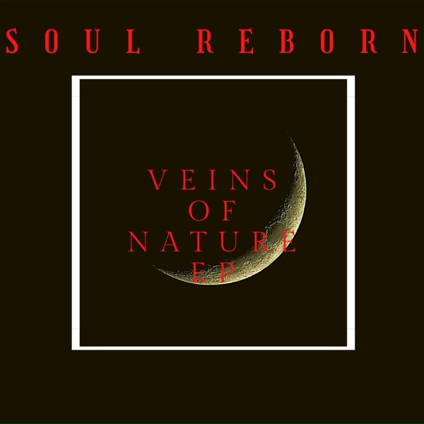 Soul Reborn - My Demons