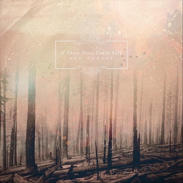 If These Trees Could Talk - Red Forest