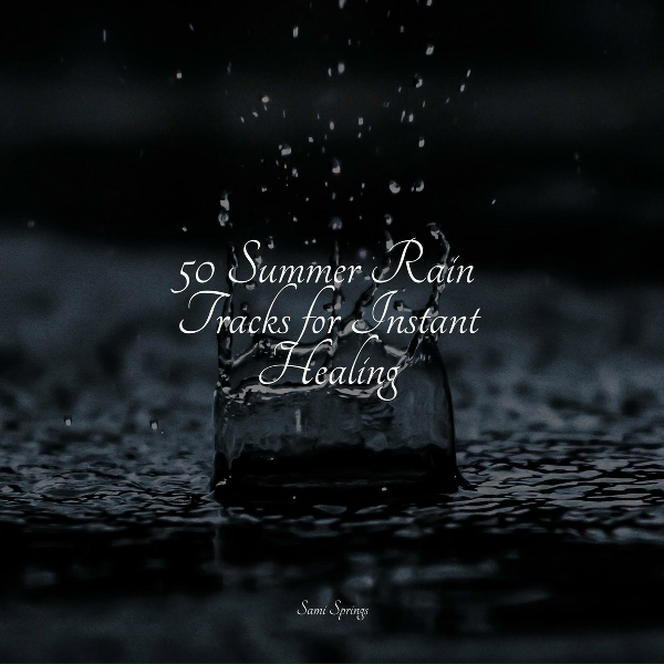 Brain Study Music Guys, Chakra Meditation Universe, Naturaleza Relajacion - Rain Dripping from the Roof