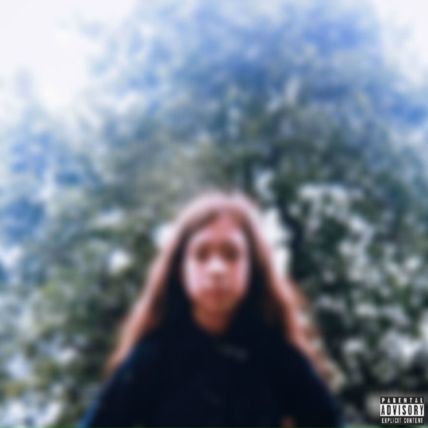 Dark Wonder - Twinkling lights