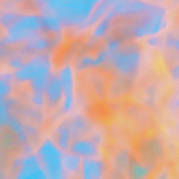 Baby In Vain - 2019