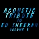 Guitar Tribute Players - Perfect (Instrumental) (Instrumental)