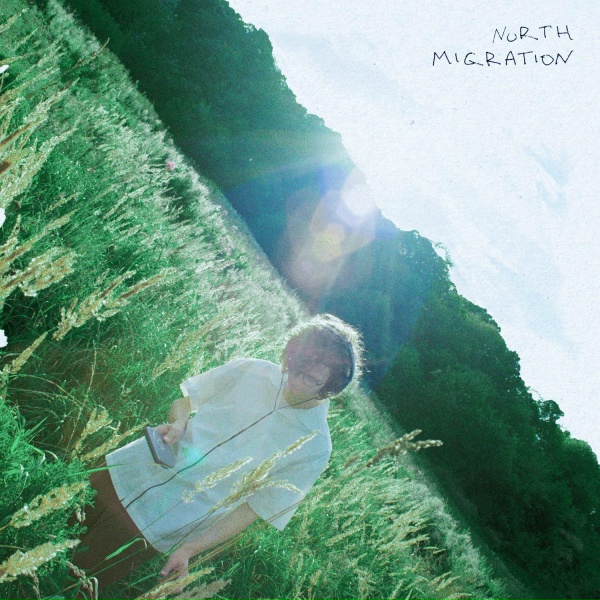 north migration - шов