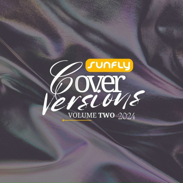 Sunfly House Band - Hammer To The Heart