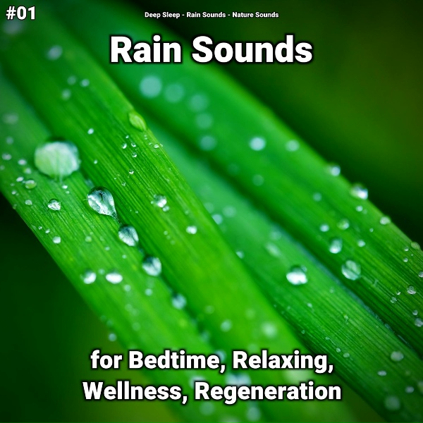 Deep Sleep, Rain Sounds, Nature Sounds - Meditation for Anxiety