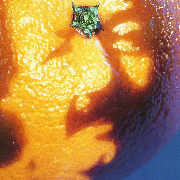 Phish - Glide