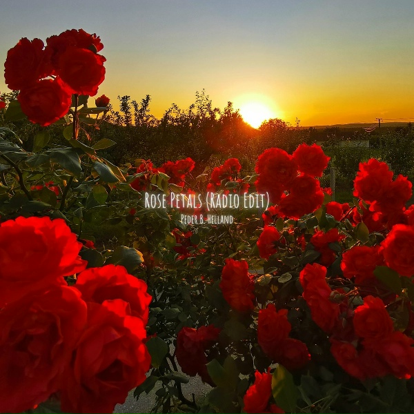 Peder B. Helland - Rose Petals (Radio Edit)